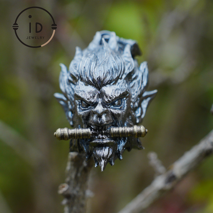 Gothic Ring Necklace Set in 925 Silver with Totem Face and Sword, Oxidized Silver Jewelry for Men, Gift for Christmas