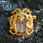 Medusa Pendant | Handmade 925 Silver & White Crystal | Mythical Statement Jewelry