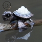Handgefertigter Schildkrötenring | 925er Silberring mit Tiermotiv | Nachhaltiger handgefertigter Silberring | Geschenk für Ihn