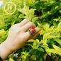 Handgefertigter Gothic Ring | Mystischer Schmuck mit Achat | Barockstil 